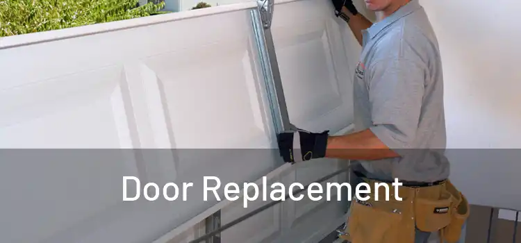  Door Replacement 
